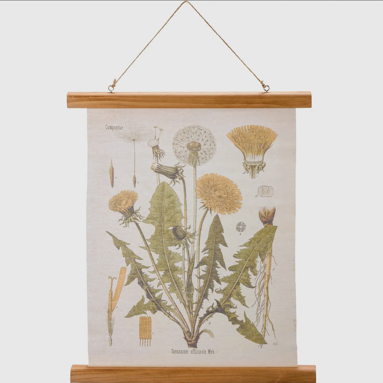 Dandelion Canvas Wall Hanging